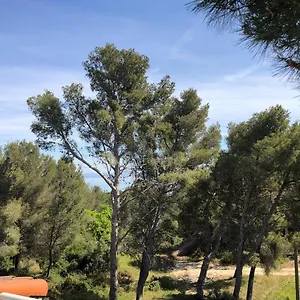 Appartement T3 Avec Grande Terrasse Et Jardin Sur Les Hauteurs De, Martigues